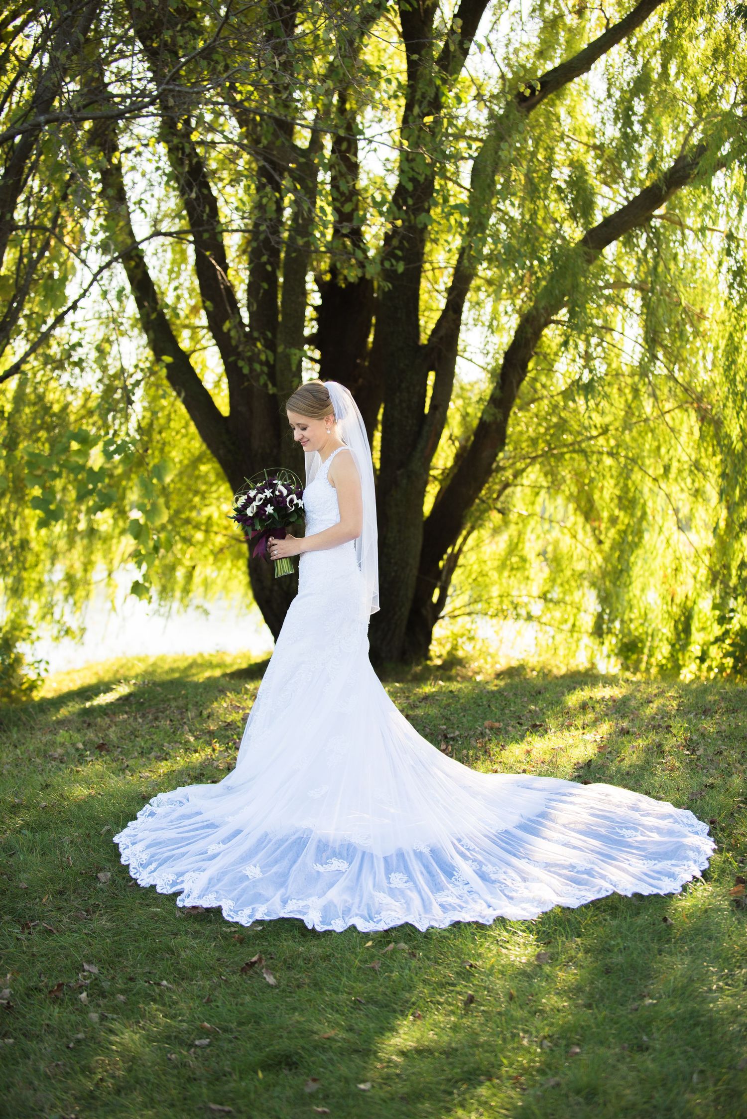 Dramatic bridal portrait showcasing flowing train of lace wedding gown against willow tree backdrop. Andover wedding at Magestic Oaks Golf C