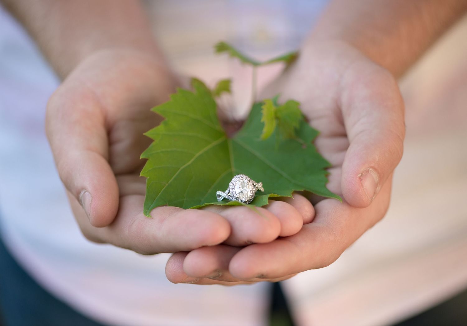 Hands gently holding a green maple leaf with an engagement ring nestled in its center.