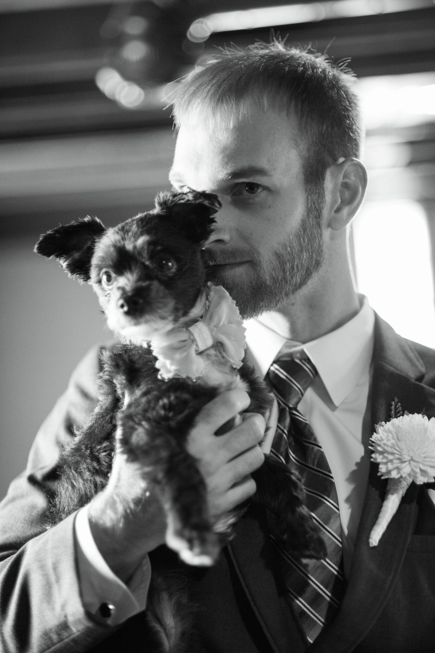 A groom in a black suit and tie holds a small fluffy dog while wearing a white boutonniere.