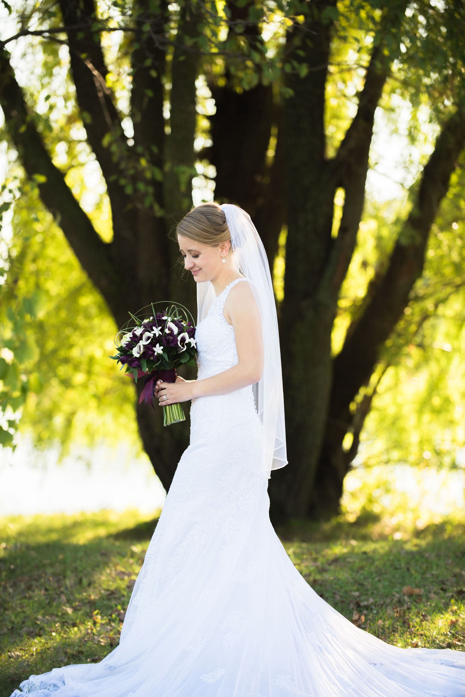 Elegant bride in white lace gown and veil holds purple bouquet while posing against sunlit trees. Andover wedding at Magestic Oaks Golf Club