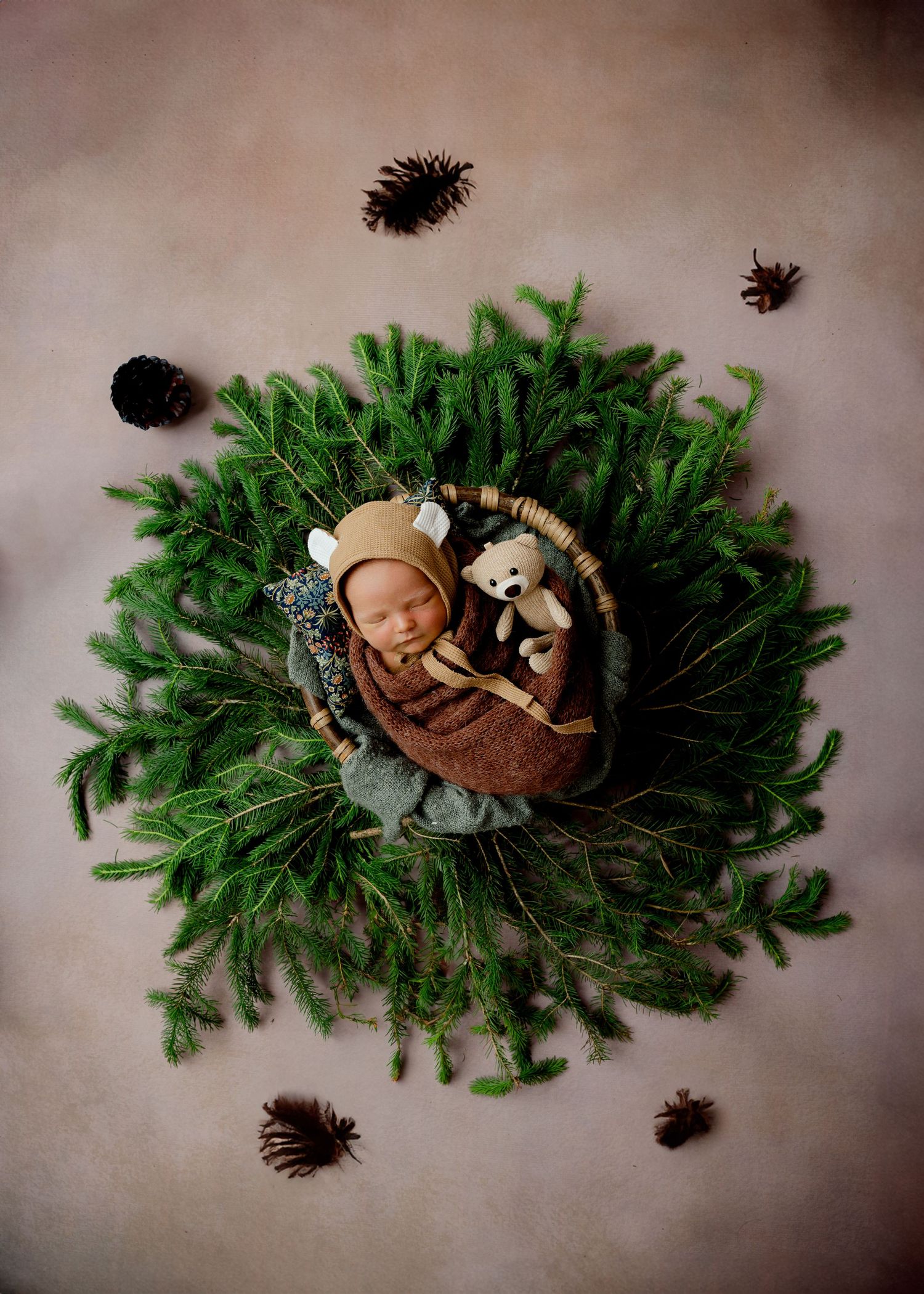 Newborn photography setup with pine branches and pinecones surrounding a sleeping baby with stuffed toy.