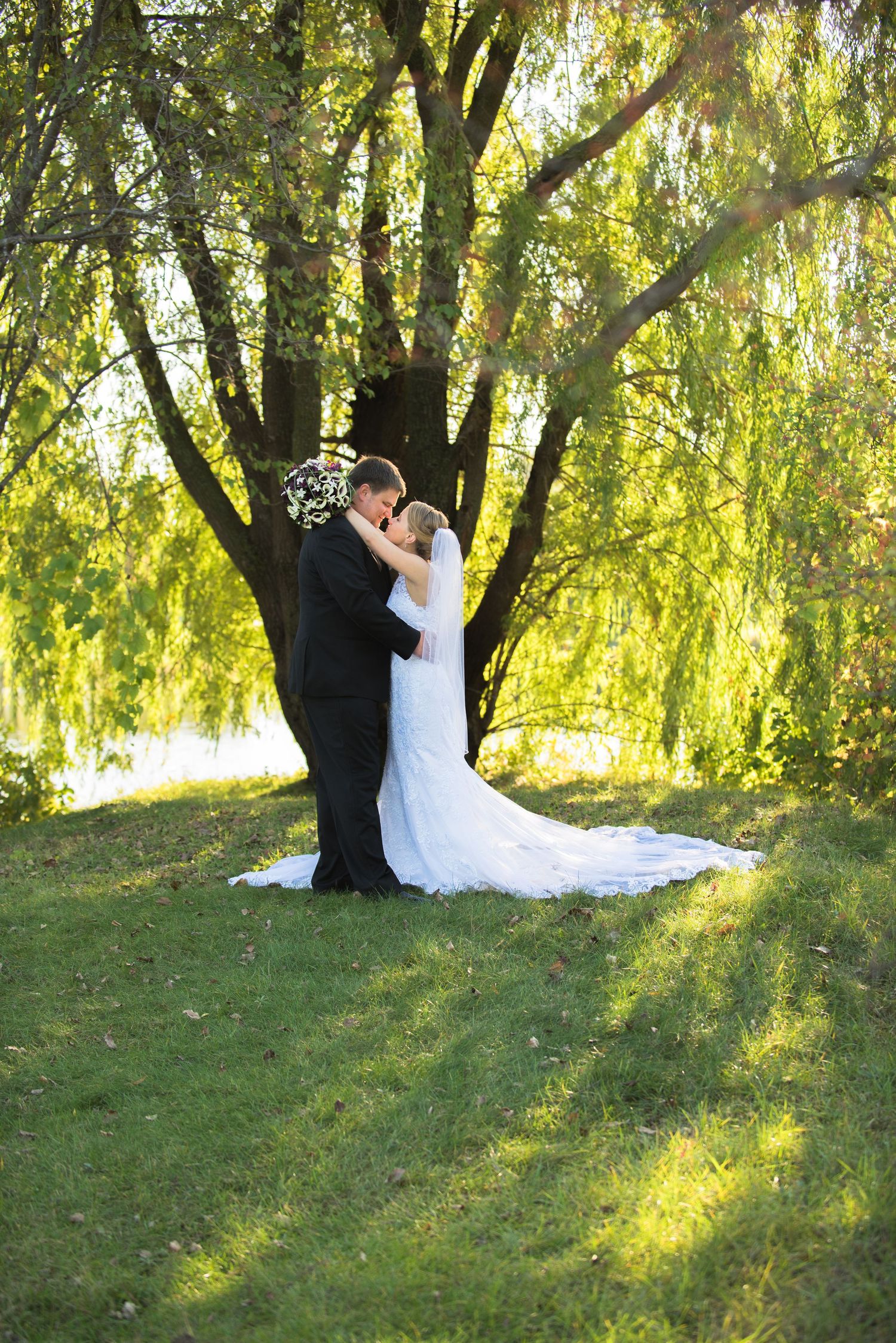 A romantic wedding portrait of a couple embracing under a sunlit weeping willow tree. Andover wedding at Magestic Oaks Golf Club