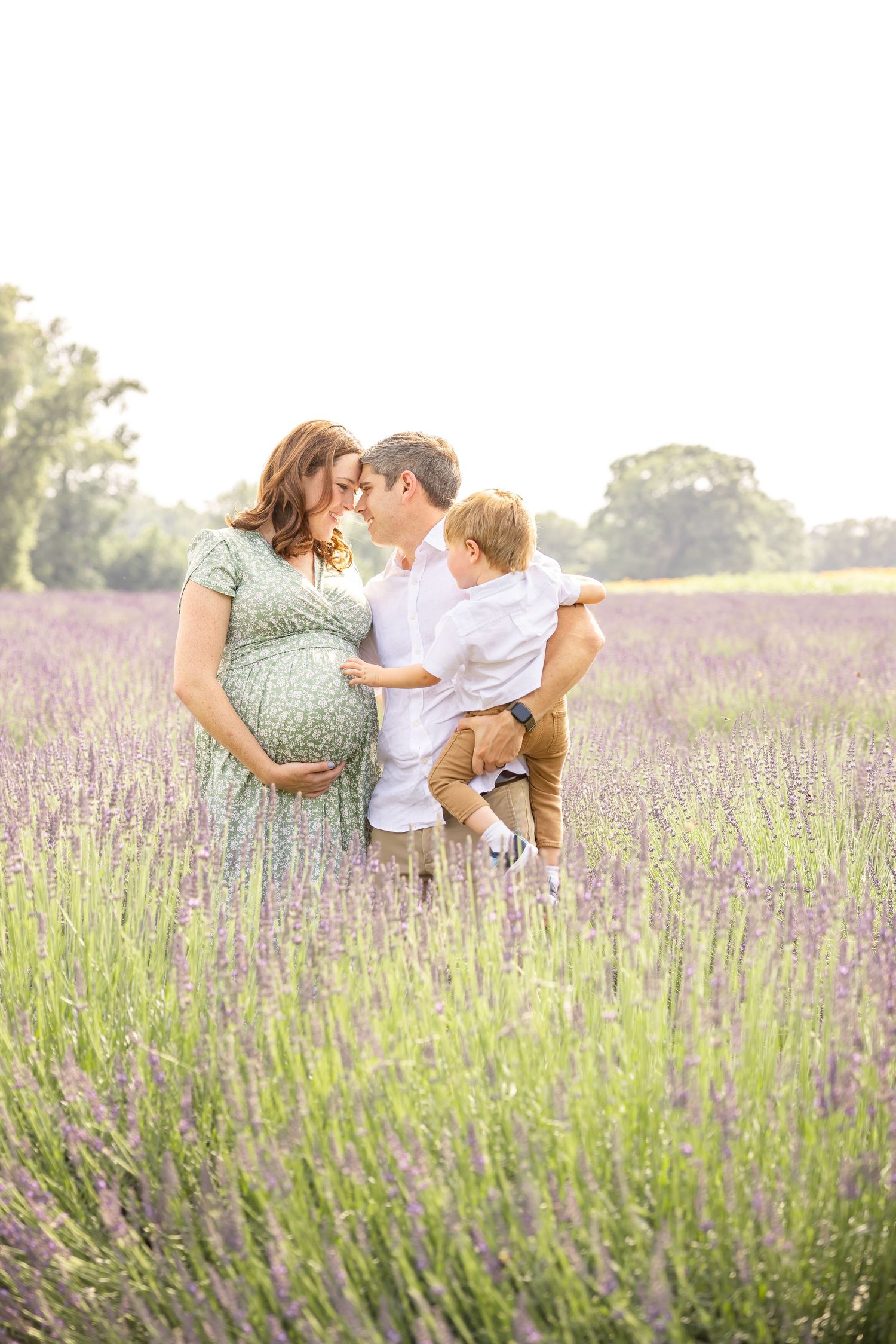 Family shares a tender moment together in a blooming lavender field during sunset.