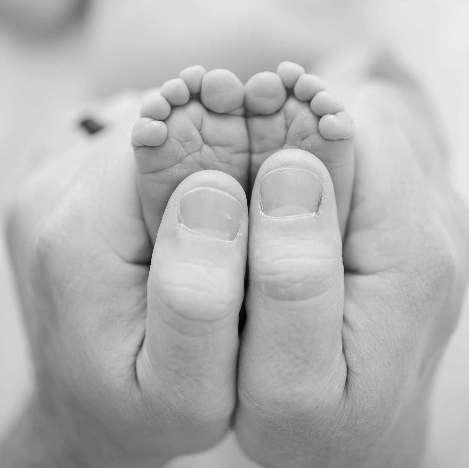 Black and white close-up of adult hands gently cradling tiny baby feet against soft background.