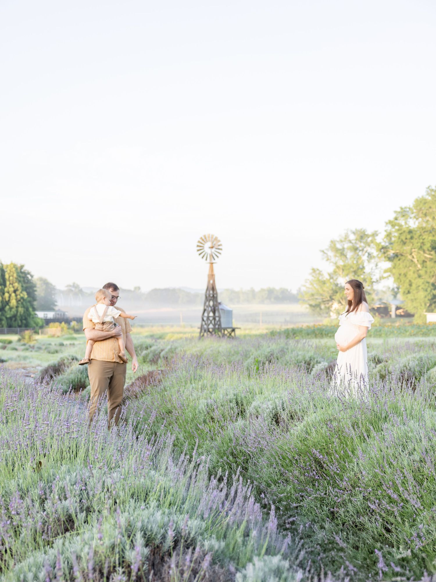 People walking through a summer lavender field with soft sunlight filtering through.