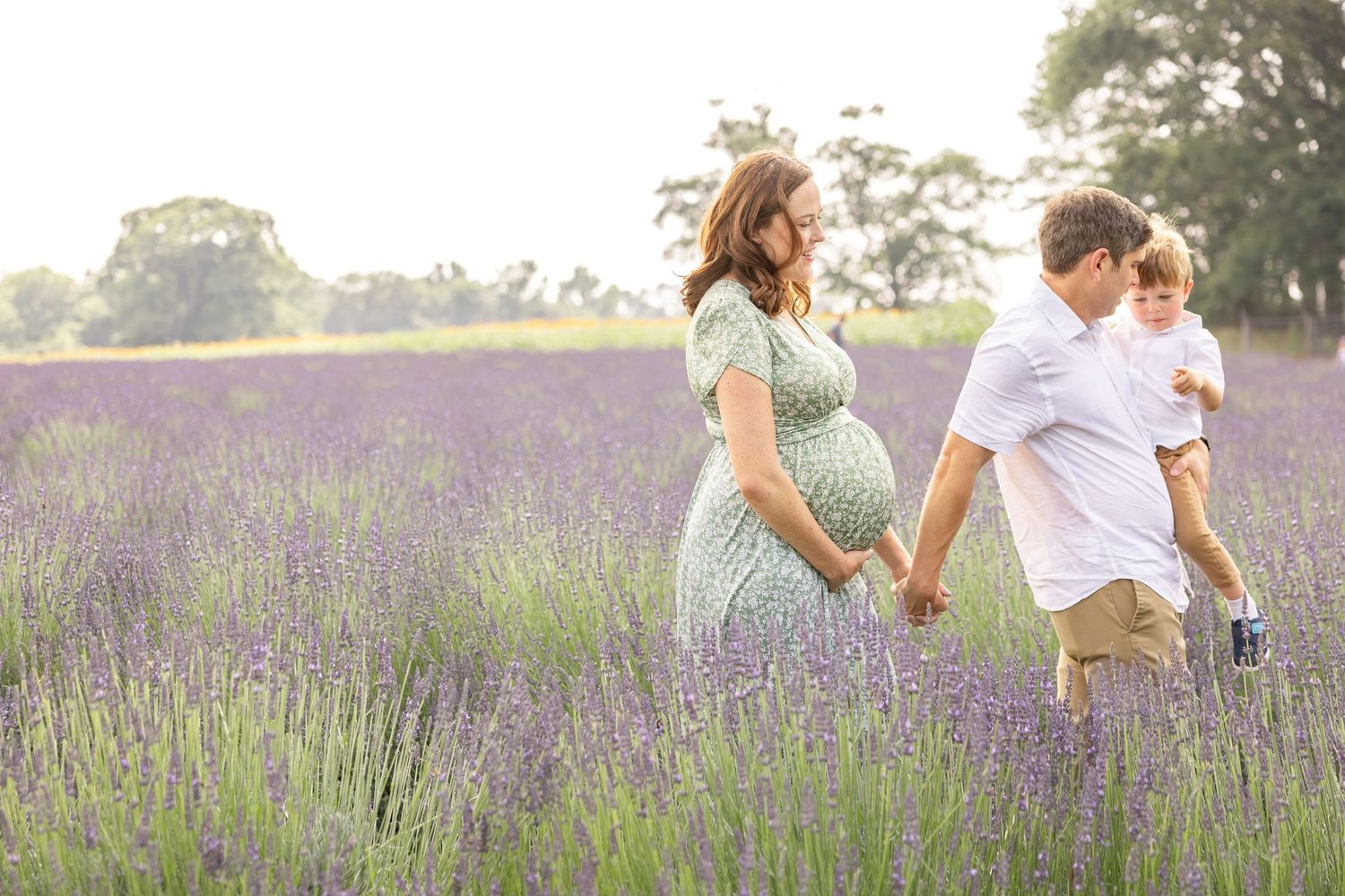A family walks together through a scenic lavender field on a sunny summer evening.