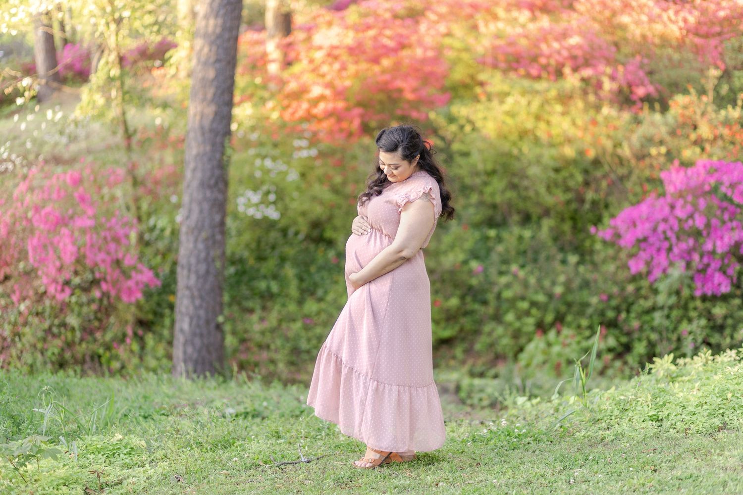 Figure in pink maternity dress poses in garden with vibrant autumn foliage and pink azaleas in background.