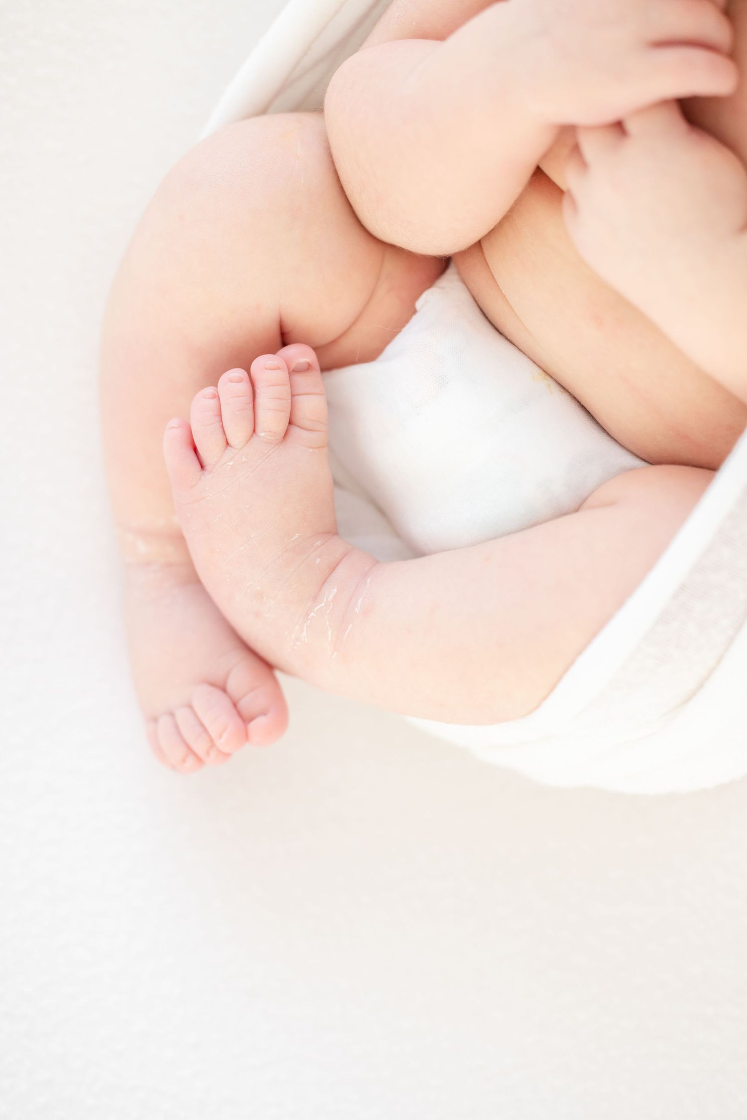 Close-up view of tiny baby feet and chubby legs against white background in soft natural lighting.