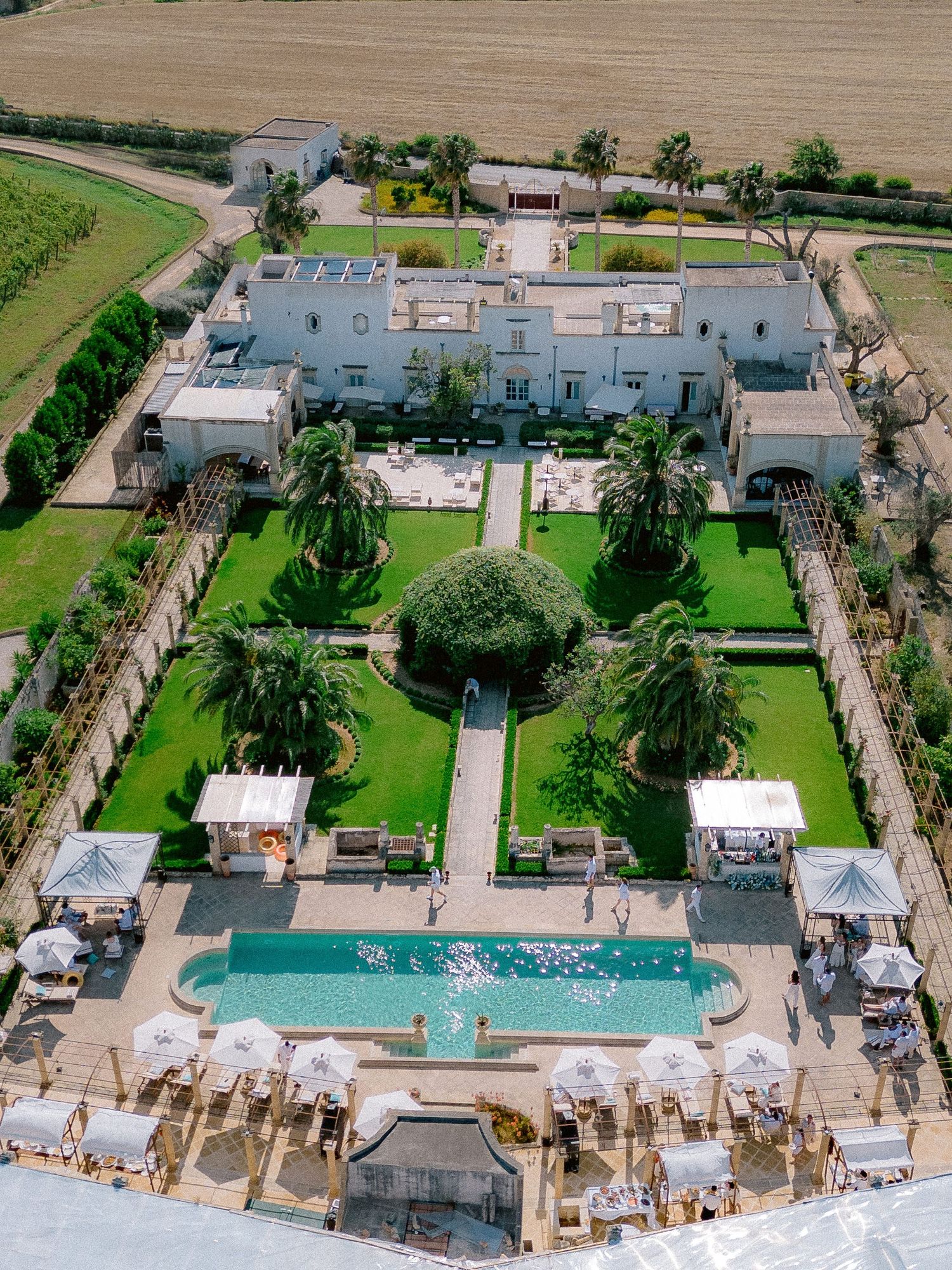 Aerial view of Tenuta San Mose property featuring a manicured garden, swimming pool and poolside loungers surrounded by palm trees.