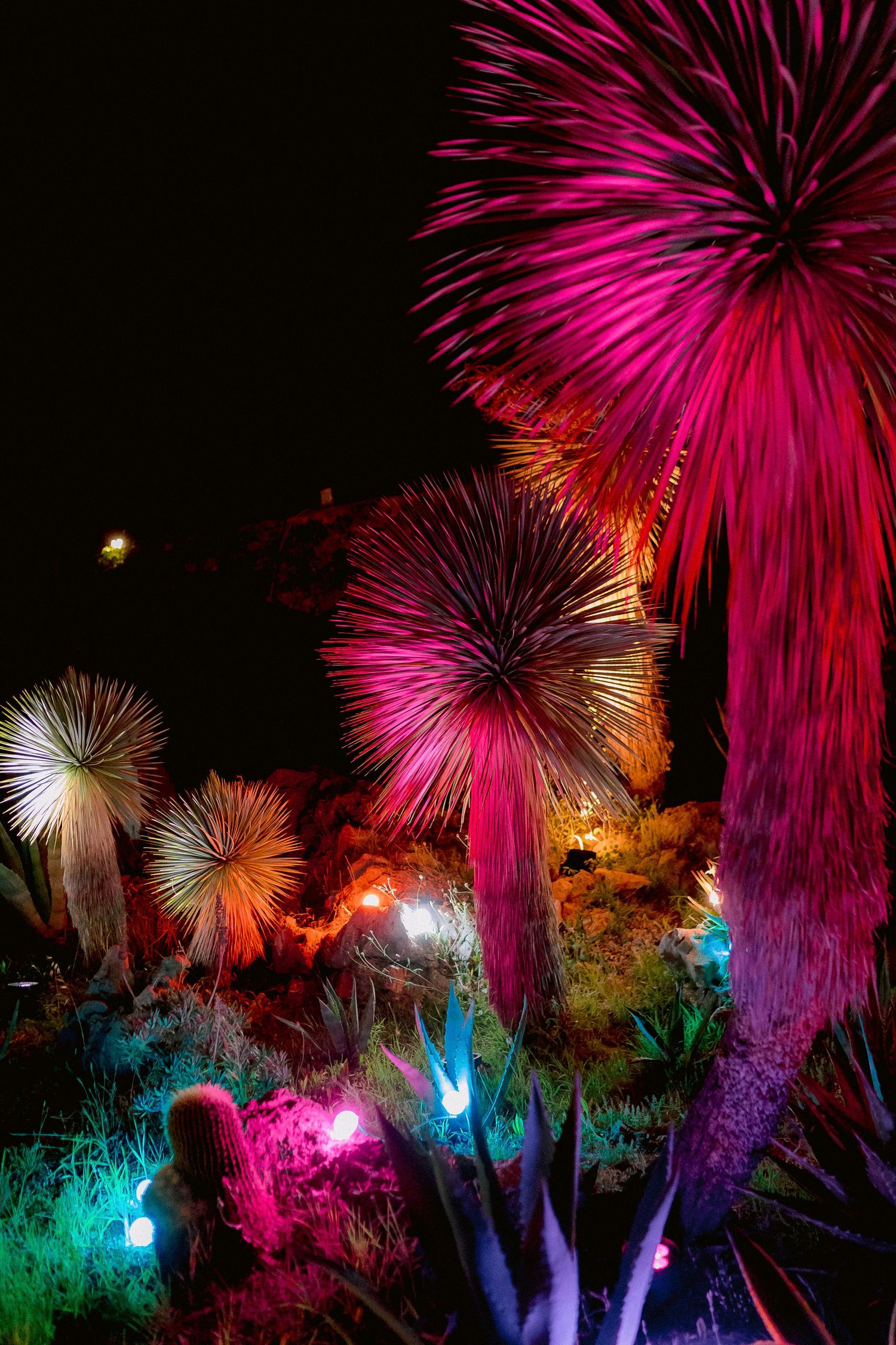 Colorful fireworks display illuminates the night sky with vibrant pink, orange and blue lights among silhouetted trees.