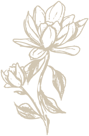 Beige floral illustration featuring delicate lotus or water lily blooms in a minimalist, abstract style.
