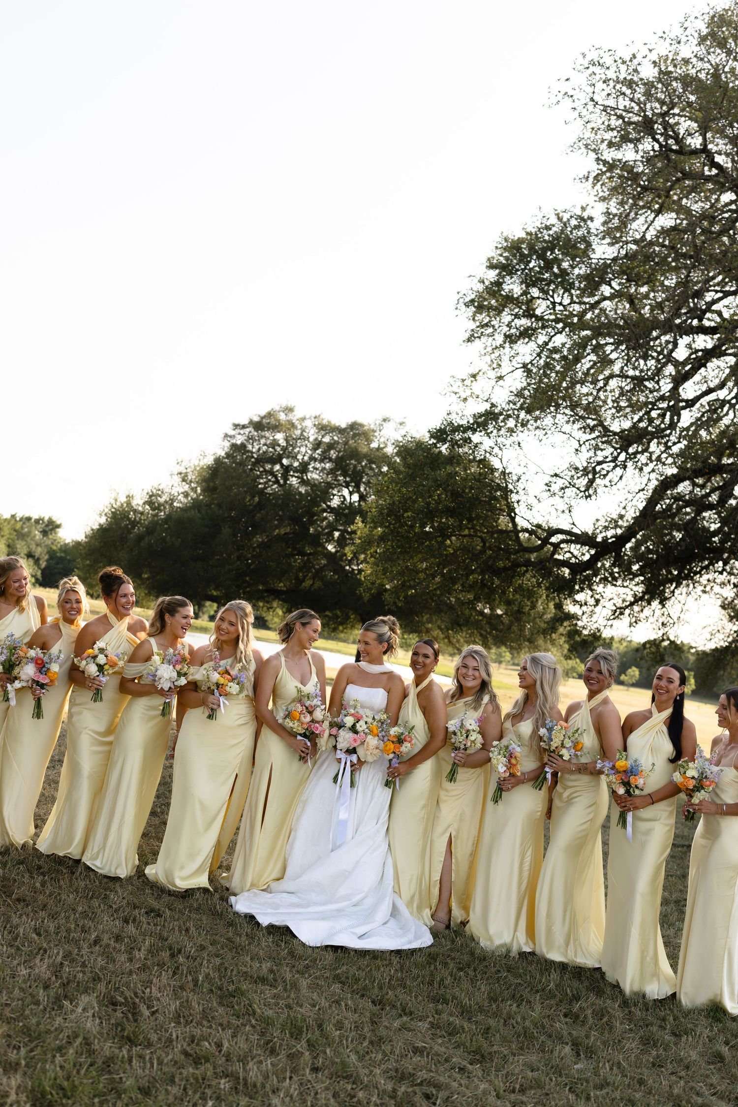 A wedding party stands in a row on a grassy hill wearing pale yellow bridesmaid dresses and a white wedding gown.