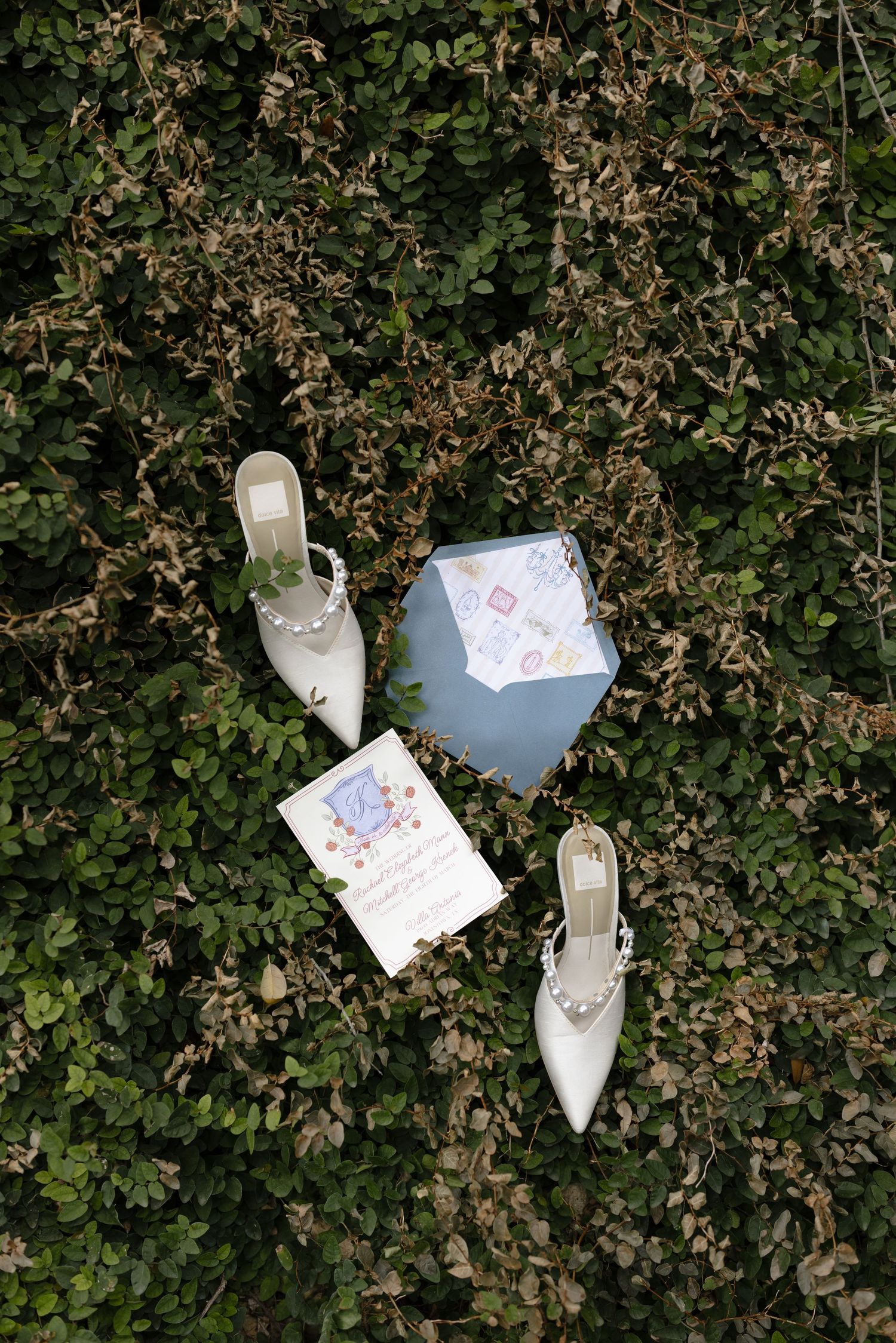 White paper notes and decorative bottles arranged artistically against natural green foliage in progressive sequence.