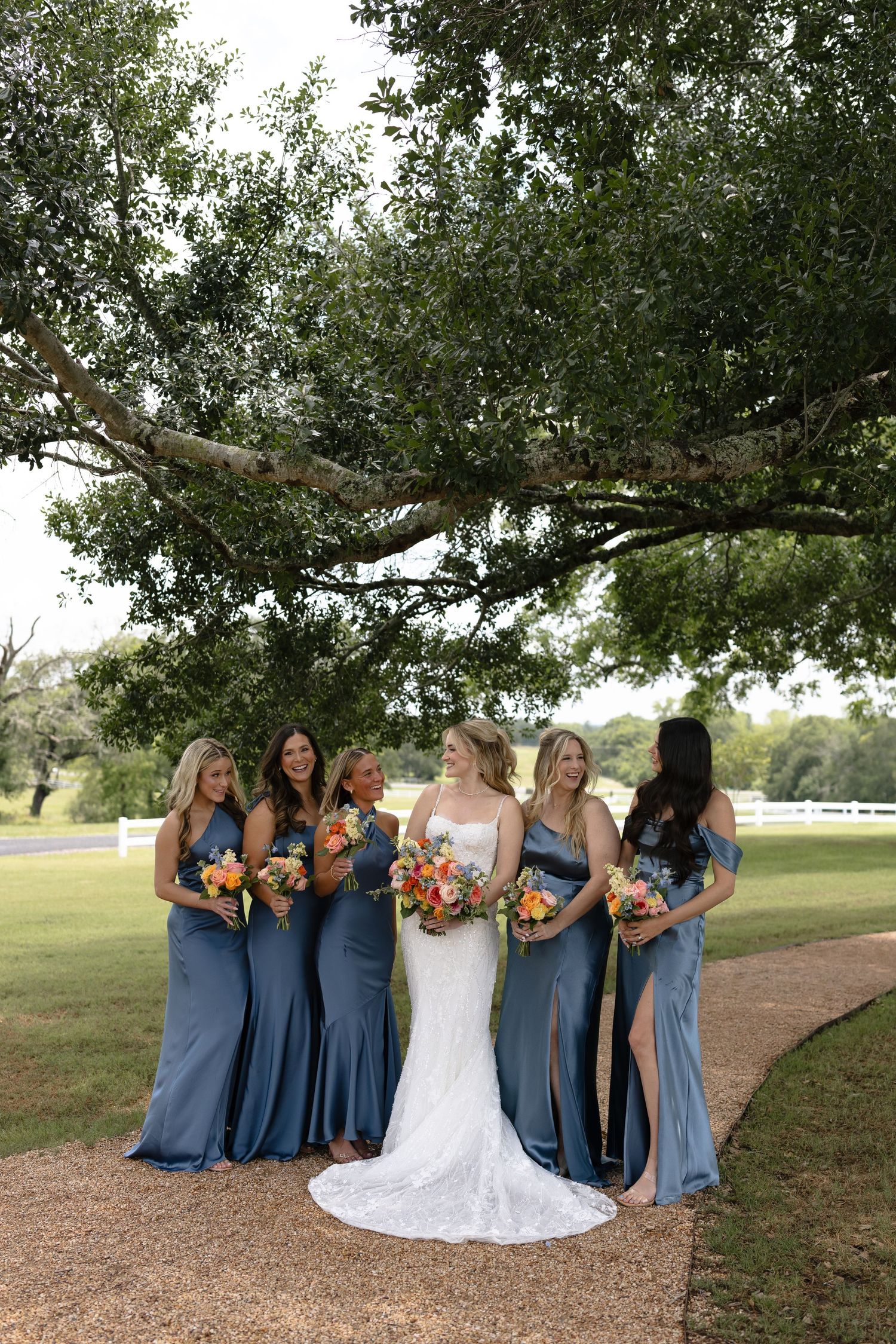 Wedding party in slate blue bridesmaid dresses and white lace bridal gown pose under a sprawling oak tree.