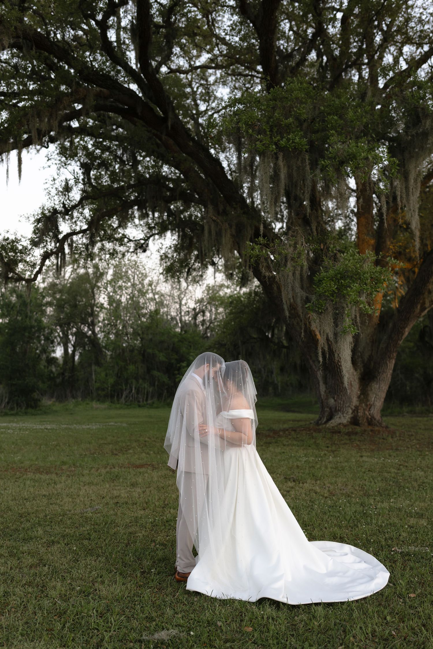 A romantic bridal portrait in flowing white dress and veil set against mossy oak trees in an ethereal outdoor setting.