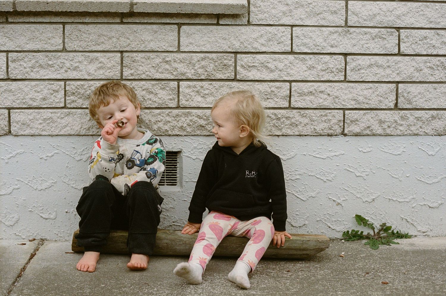 Two young children sit on steps against a white brick wall, one holding foliage while both smile and laugh.