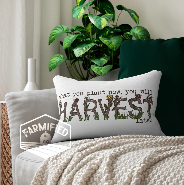 Cozy home decor with throw pillows featuring farmhouse text, a chunky knit blanket, and a monstera plant in the background.