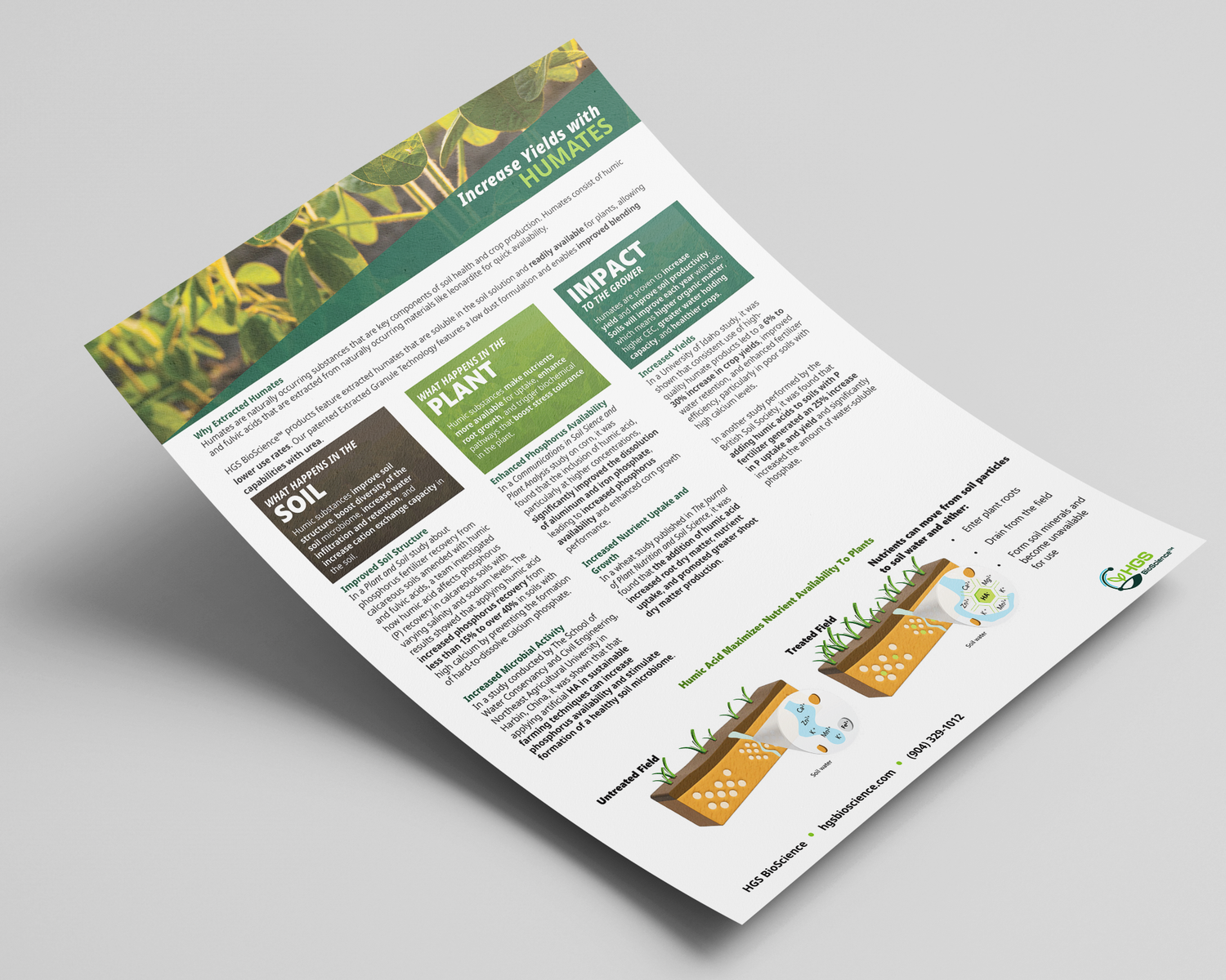 Professional white brochure mockups showing multiple folded pages on light background.