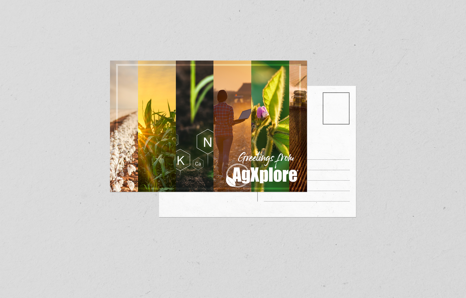 Nature-themed design elements arranged in horizontal banner format.