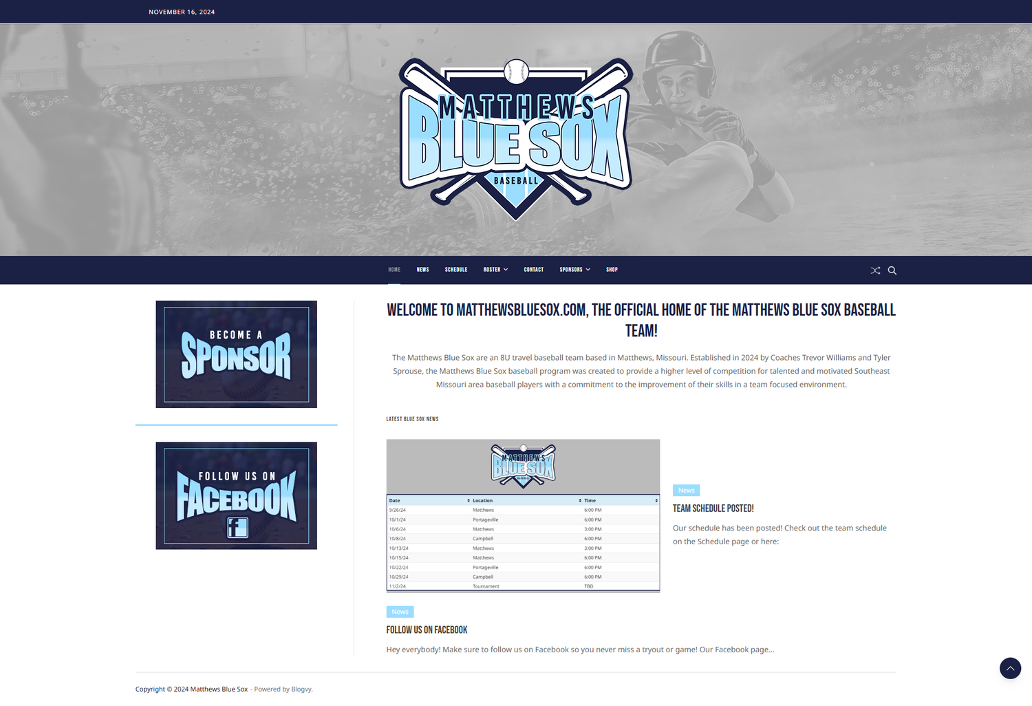 Blue and white baseball style logo design layout on grey website background.