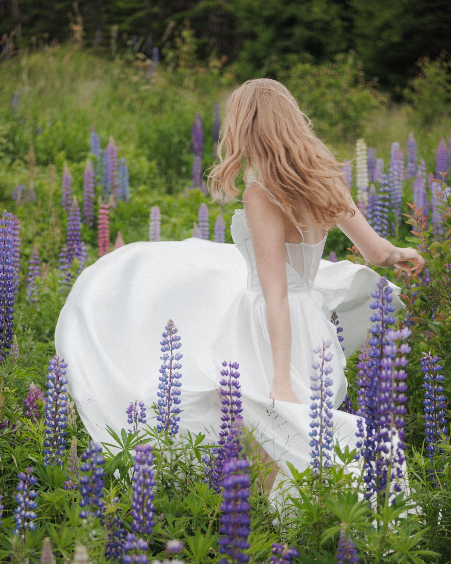 A flowing white dress twirls among vibrant purple lupine wildflowers in a summer meadow.