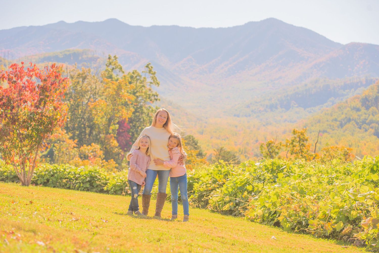 People enjoying the vibrant fall foliage and mountain views from a scenic overlook in the autumn countryside.