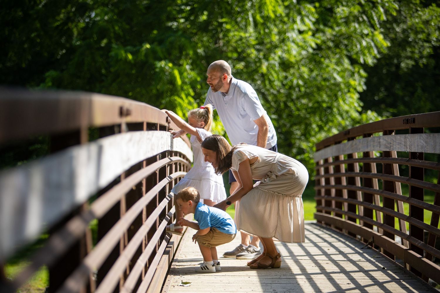 A wooden boardwalk trail winds through lush green forest on a bright sunny summer day.