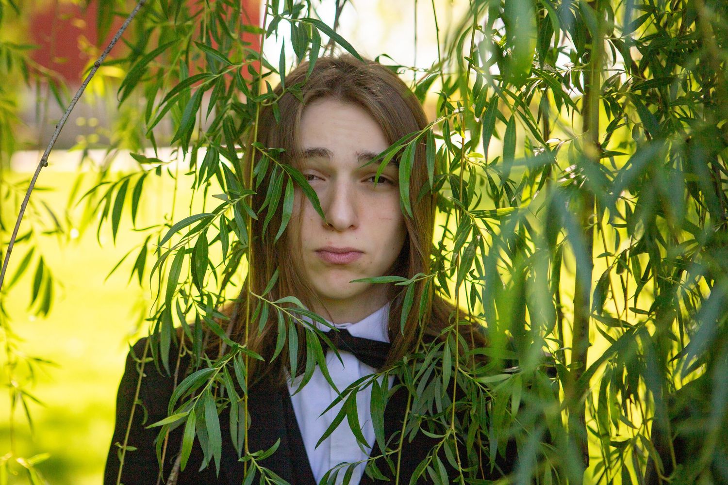 Someone wearing formal attire with black bow tie stands framed by hanging willow tree branches against a bright yellow background.
