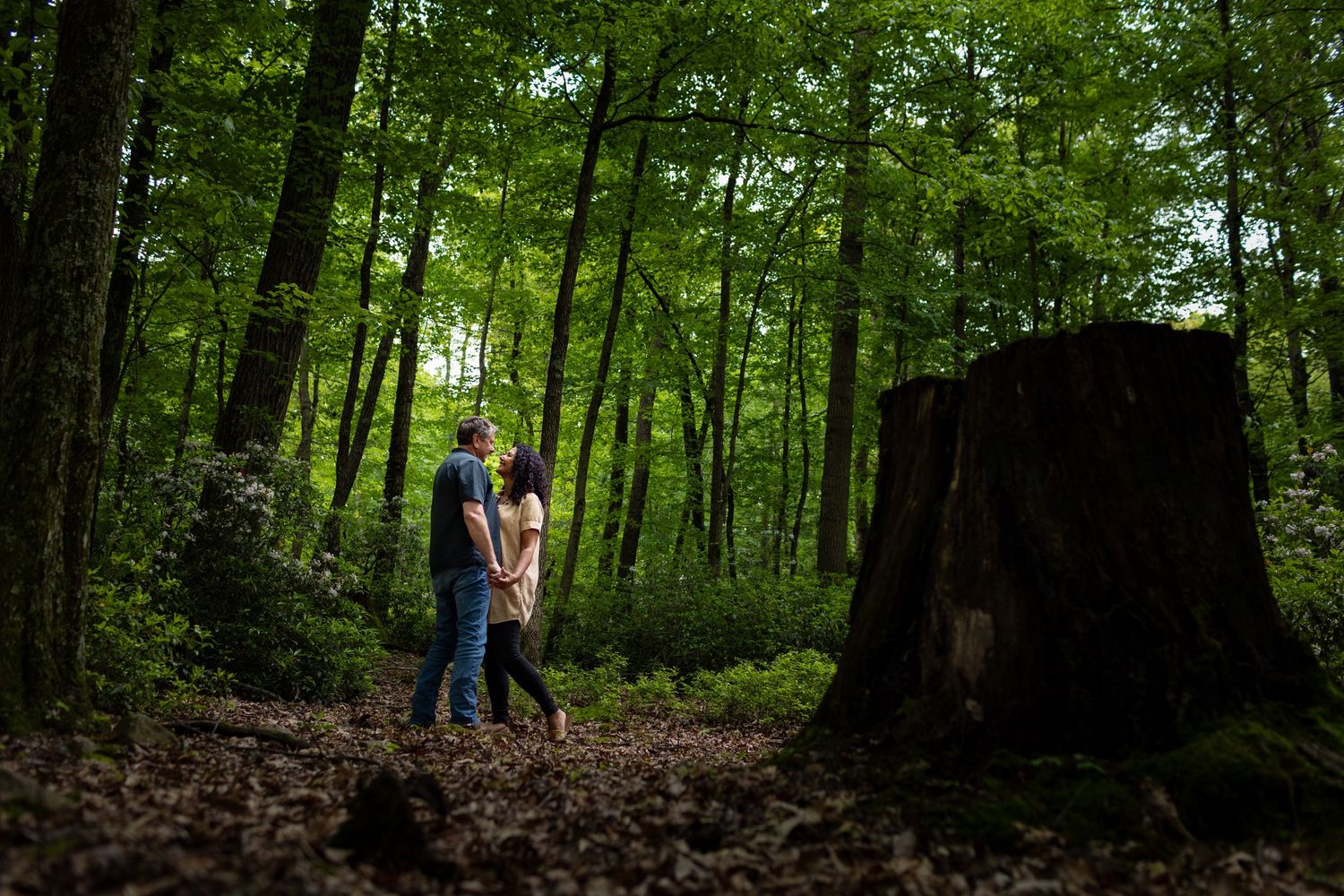 A couple shares an intimate moment in a sunlit forest clearing next to a large tree stump.