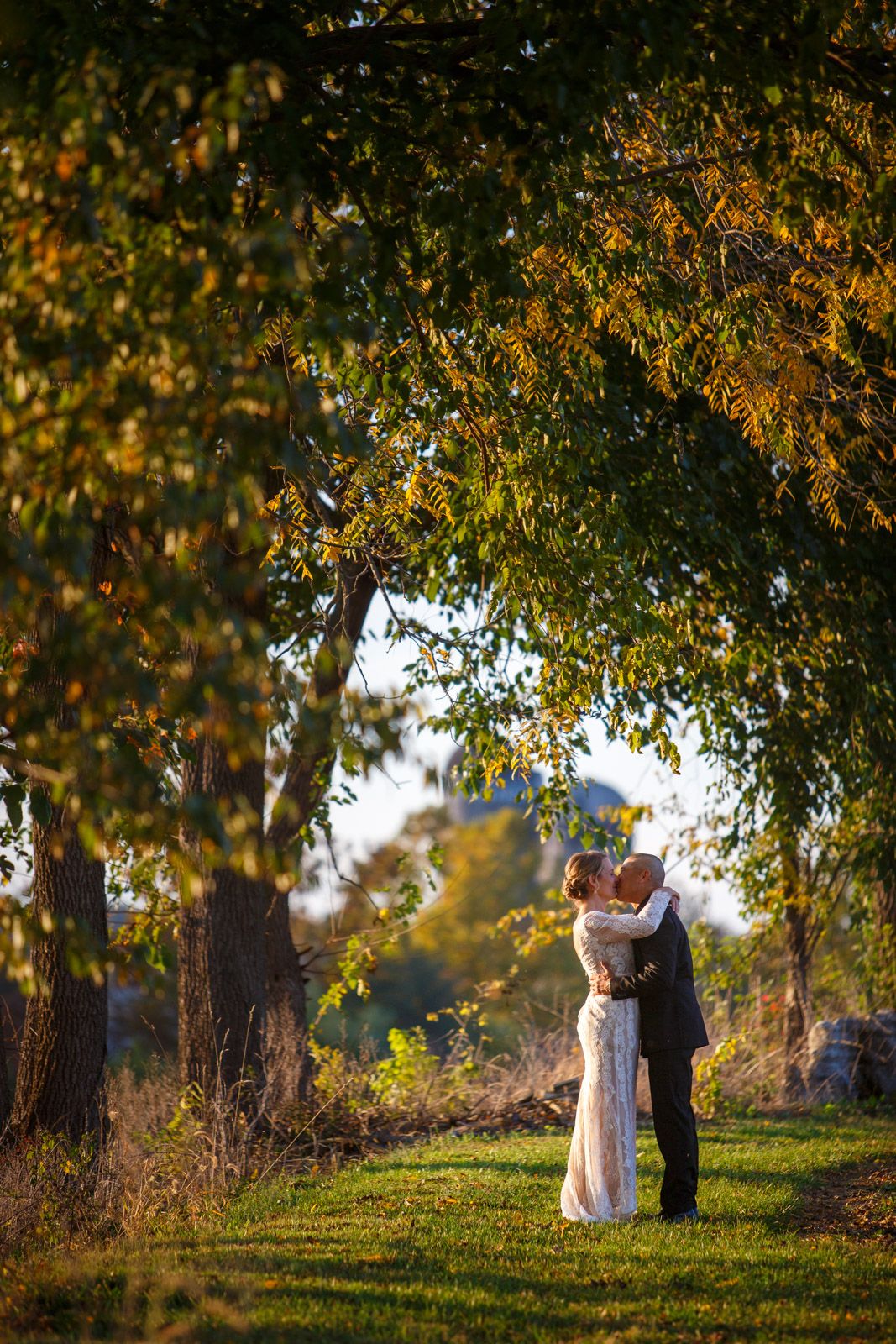 woman in a wedding dress down a country lane