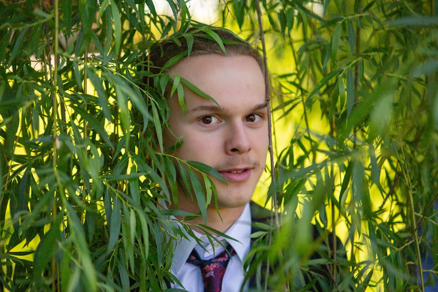 Someone in a suit and tie peeks through hanging willow tree branches in a creative portrait composition.