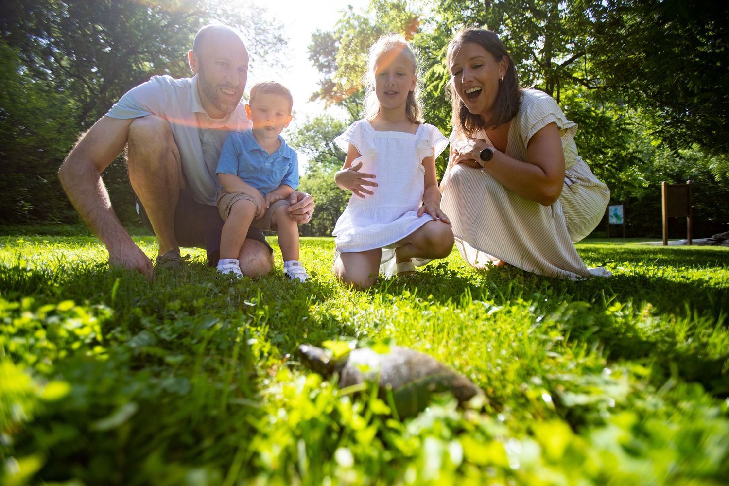 A cheerful family sits together on a sunny lawn enjoying a summer afternoon in the park.