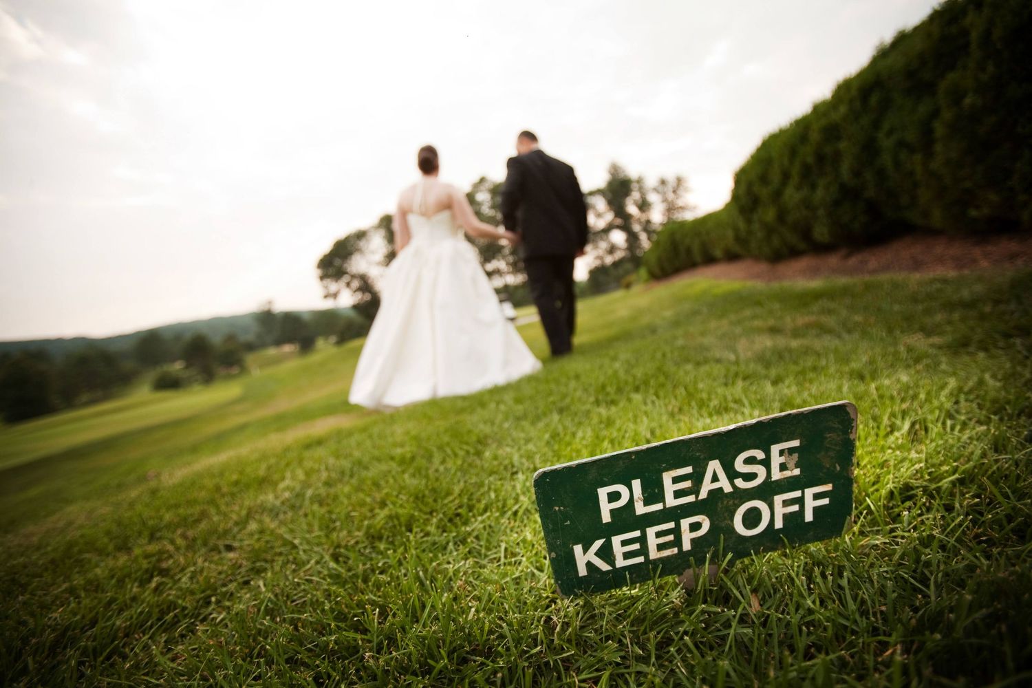 Romantic wedding couple silhouettes photographed on green hillside at sunset creating elegant shadows.