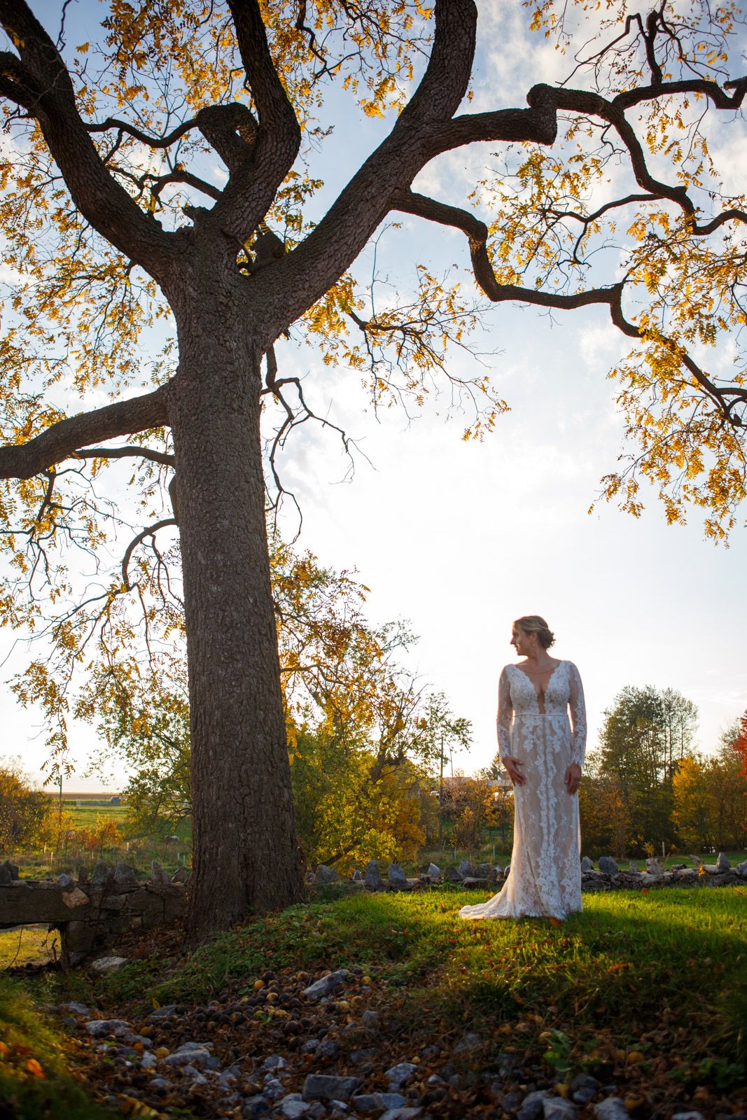 bride by a tree