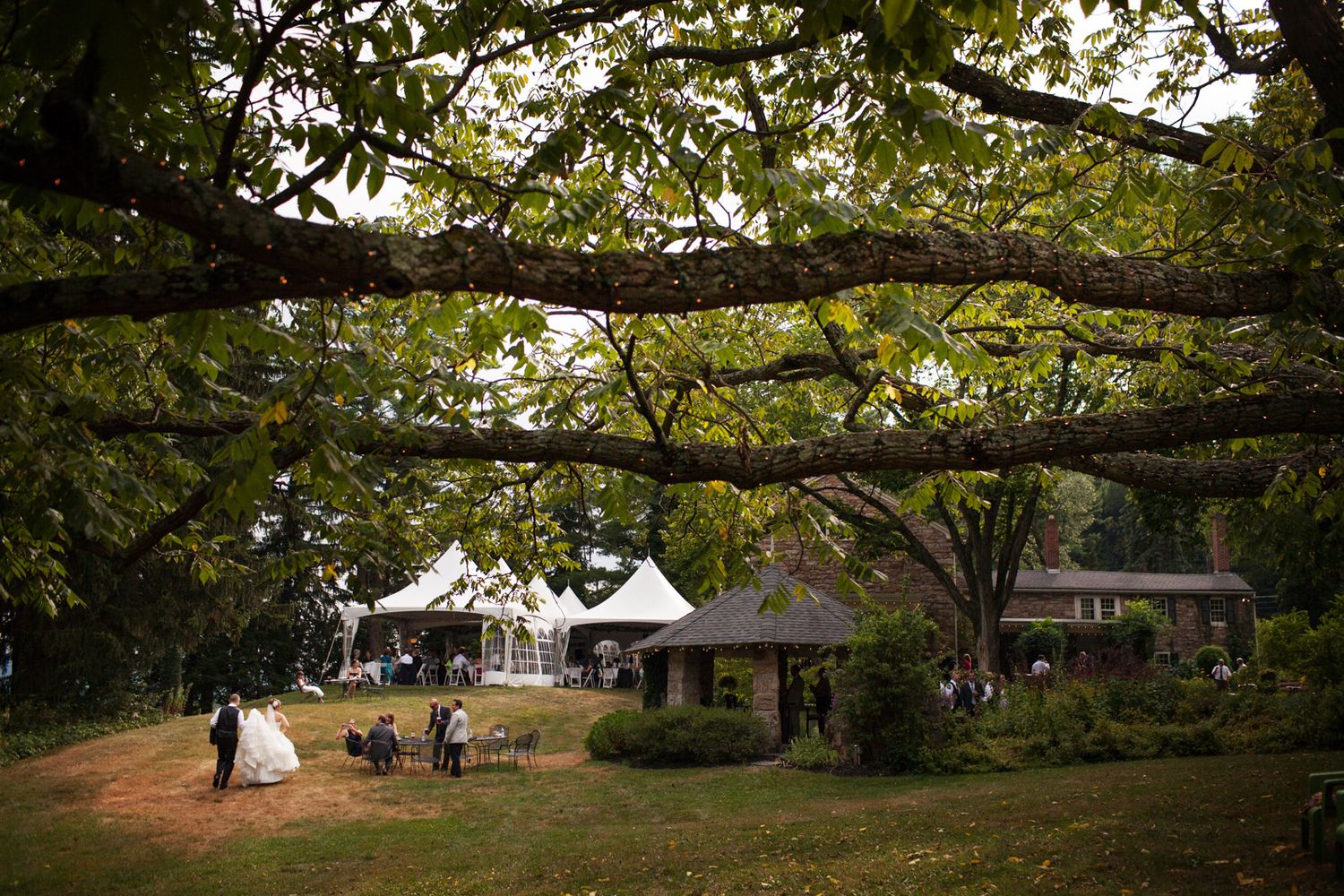 Wedding reception on a grassy lawn with white tents and trees providing natural shade overhead during golden hour.