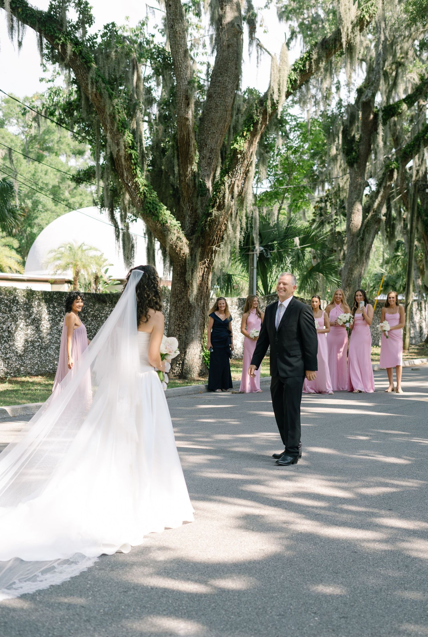 A wedding party in pink dresses gathers under Spanish moss-draped trees during an outdoor ceremony.