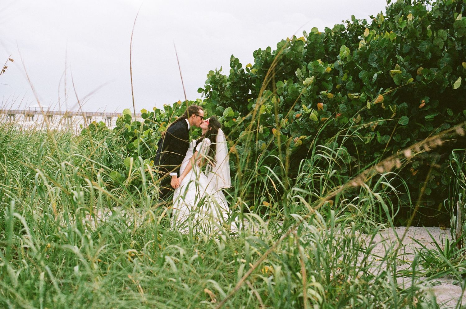 A romantic moment captured between newlyweds among tall grass and seaside vegetation.