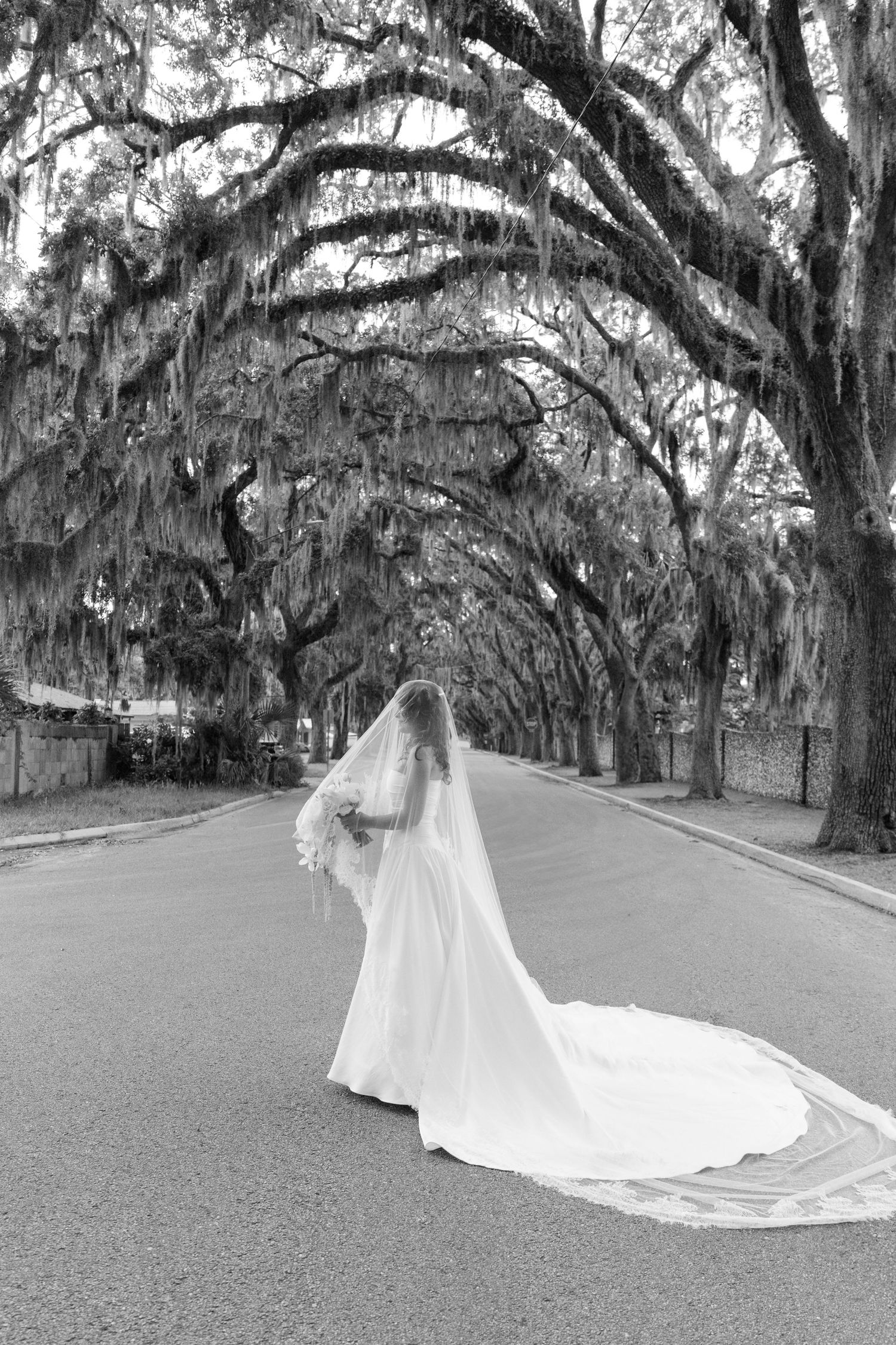 Elegant bridal gown with flowing train under Spanish moss-draped oak trees.