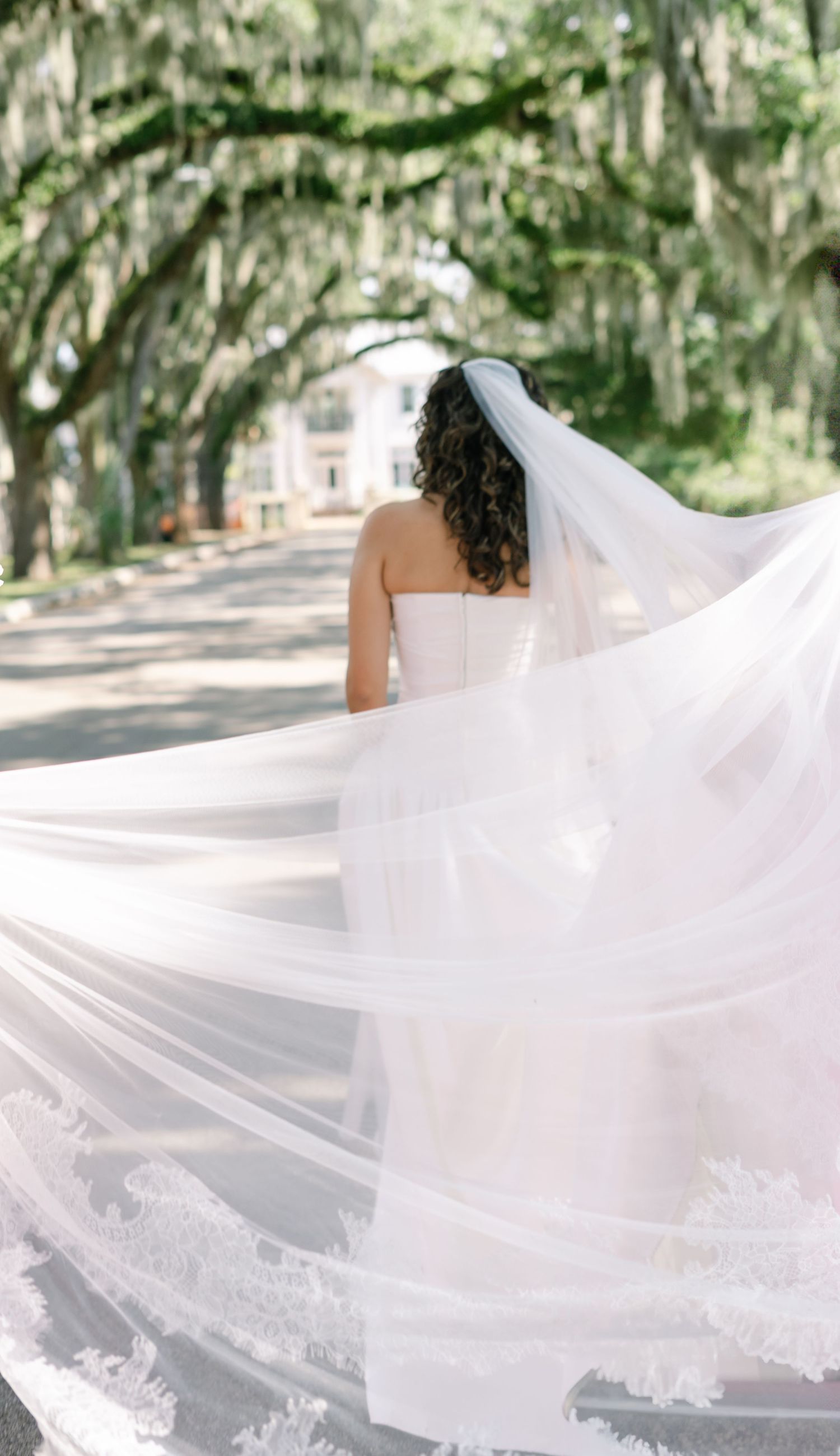Flowing white wedding veil catches sunlight beneath oak trees in romantic outdoor setting.