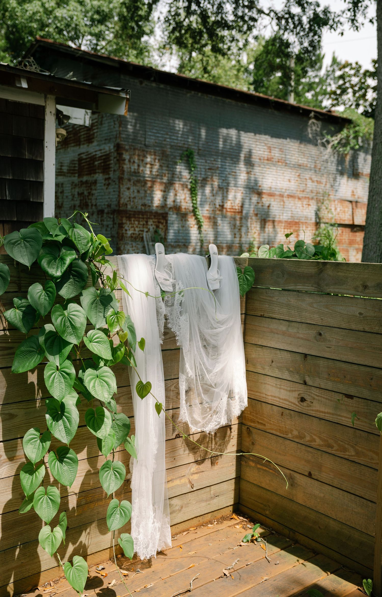 White lace garments hanging to dry on a clothesline against a rustic wooden fence with climbing green vines.
