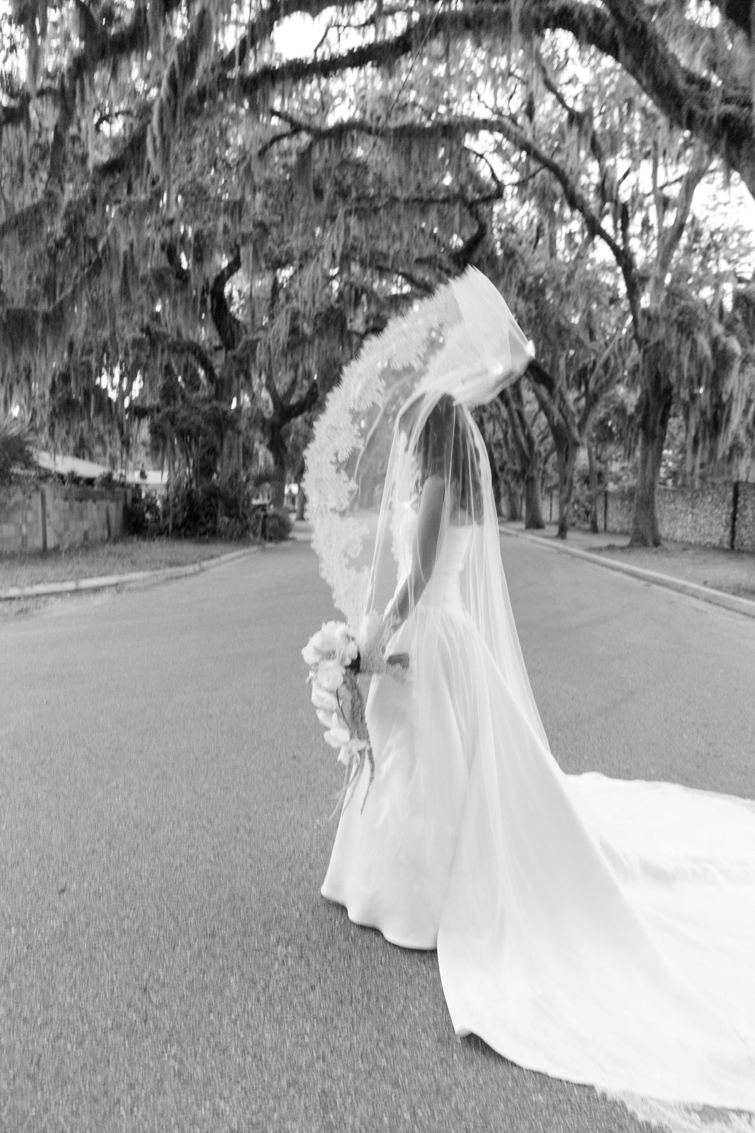 A bride in a flowing white wedding gown and veil stands on a tree-lined pathway.