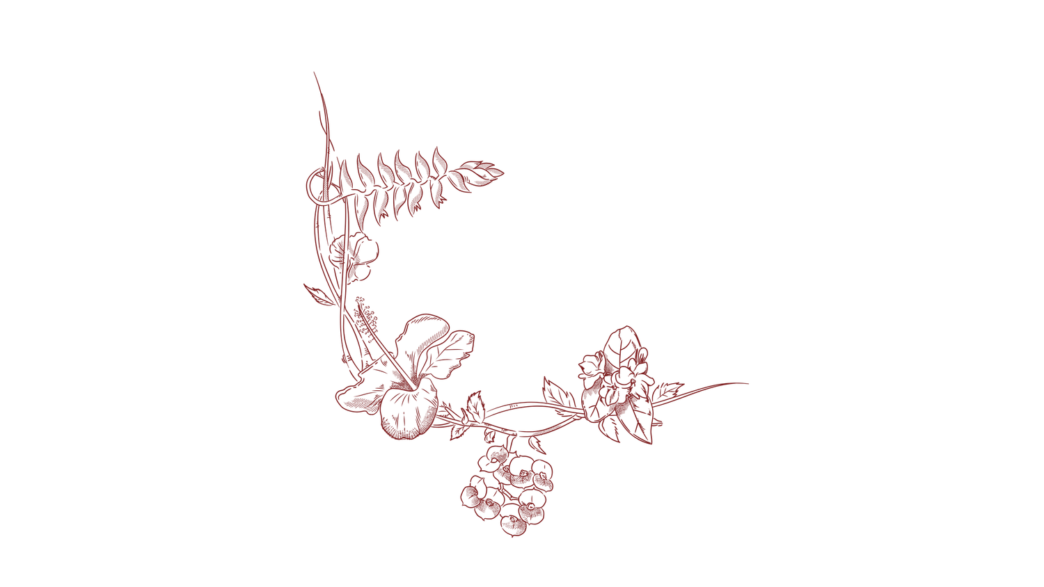Delicate pink line drawing of floral elements and leaves in a decorative arrangement.