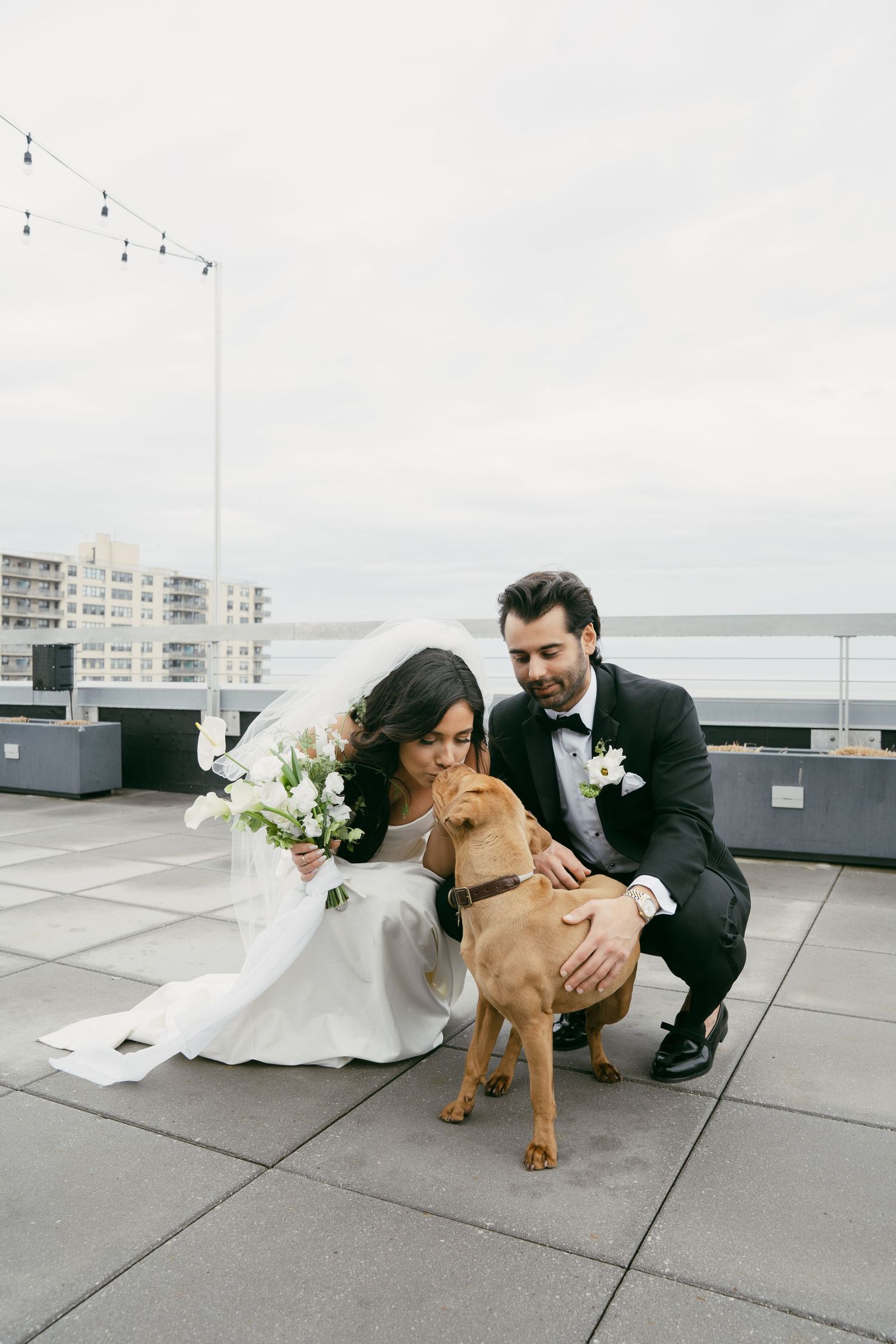 A couple poses with their brown dog on a rooftop terrace during their wedding day.
