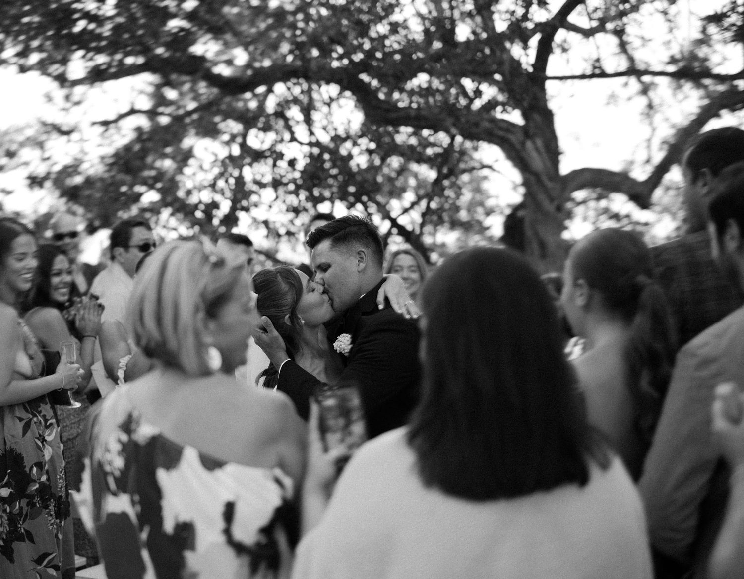A joyous crowd dances at an outdoor celebration in a park setting under tree canopy.