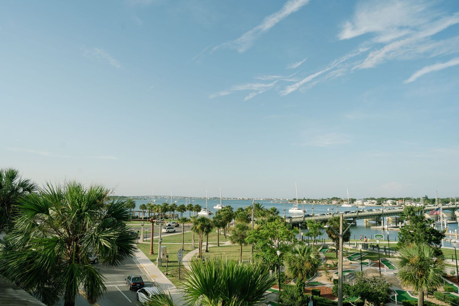 Coastal marina view with palm trees and boats under blue summer skies.