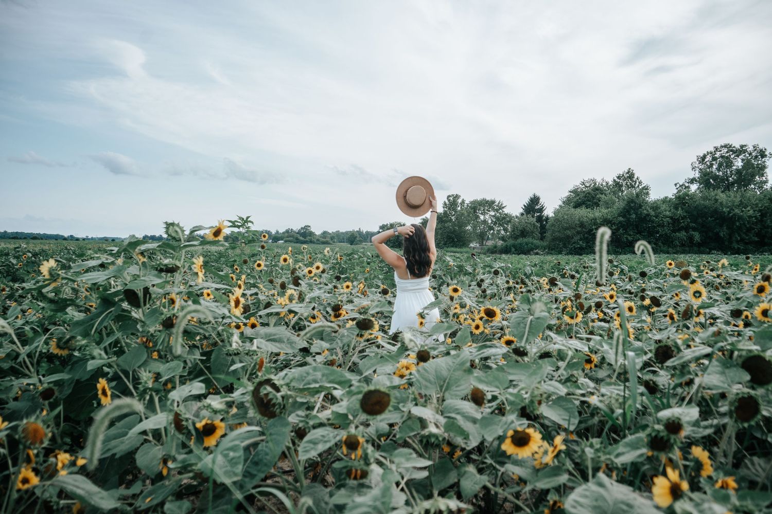 Figure in white dress stands among vibrant sunflower field under cloudy sky.
