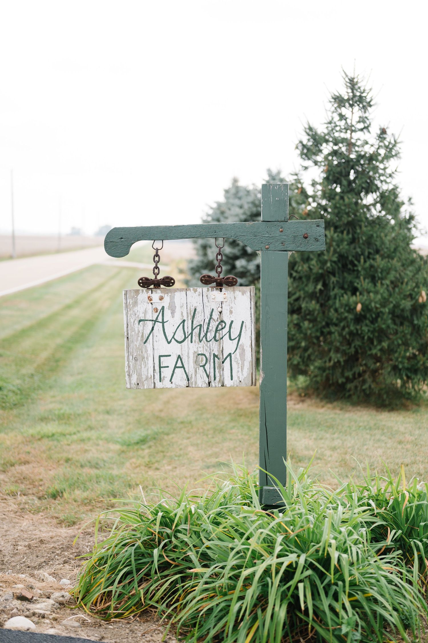 A rustic wooden sign reading 'Ashley Farm' hangs from a green post surrounded by ornamental grasses and evergreen trees.