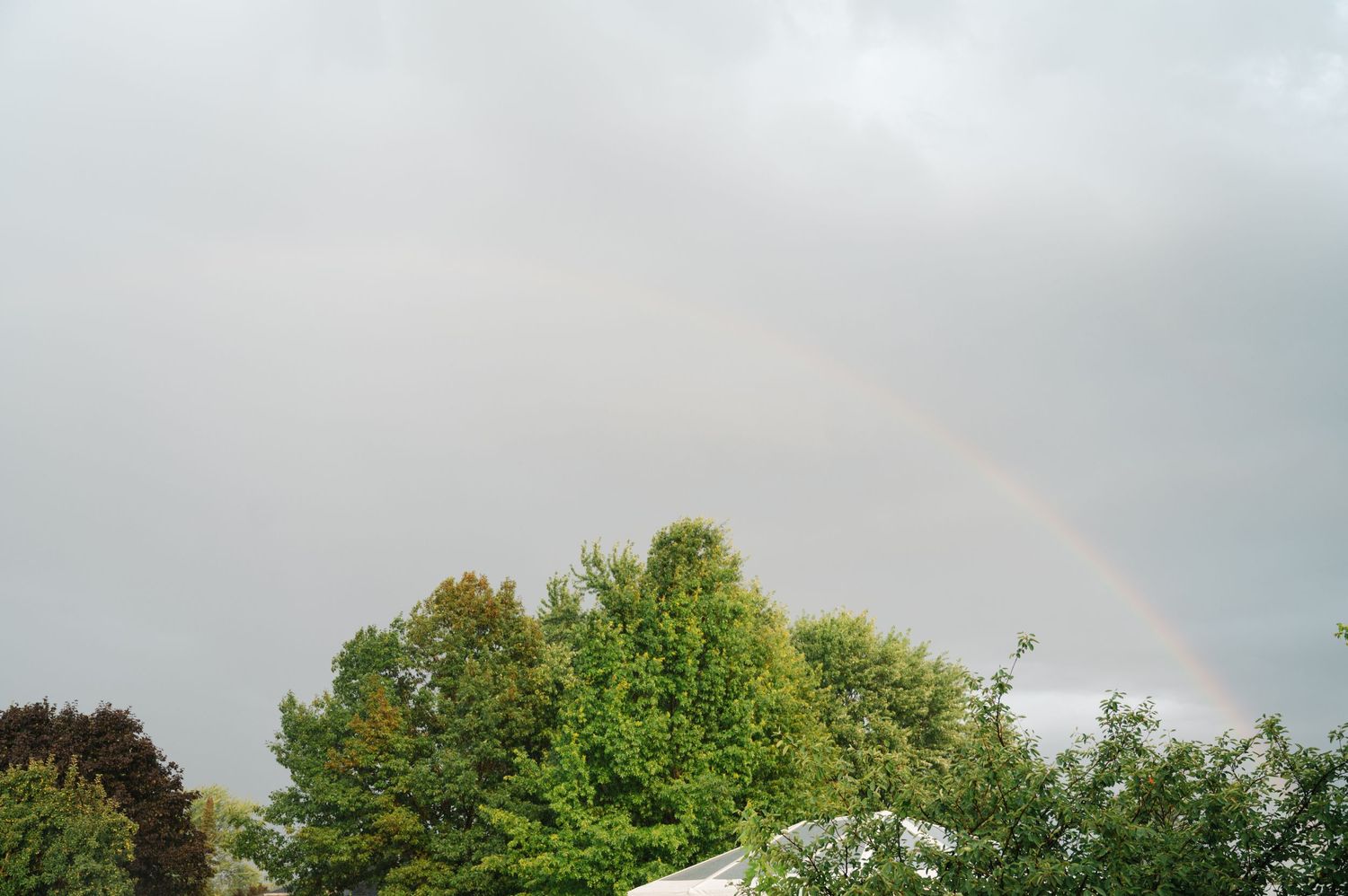 A faint rainbow arcs across a cloudy gray sky above green summer trees and rooftops.
