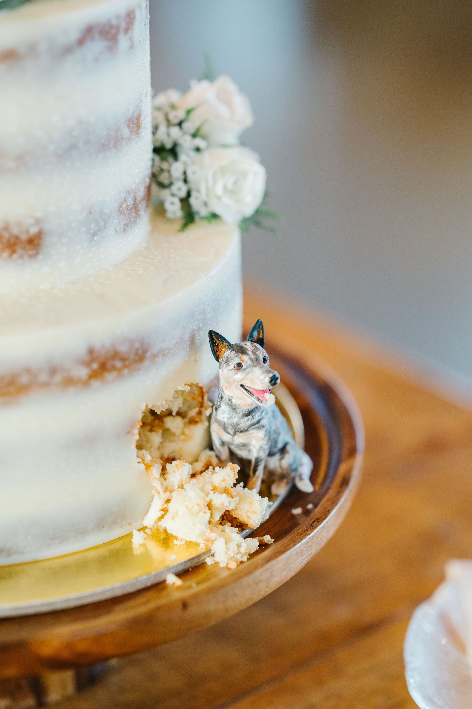 Husky dog cake topper sits beside white fondant-covered wedding cake decorated with delicate pink roses.