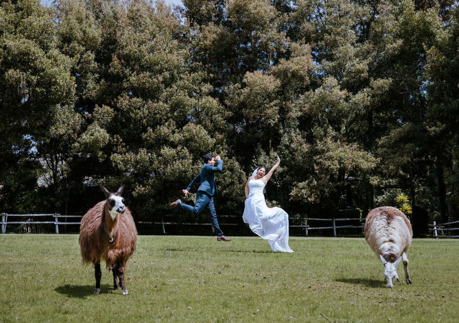 fotógrafo de bodas en Quito
